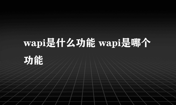 wapi是什么功能 wapi是哪个功能